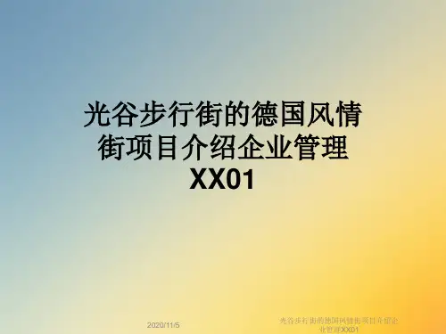 光谷步行街的德国风情街项目介绍企业管理XX01