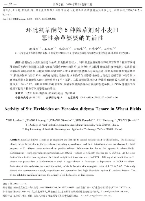 环吡氟草酮等6种除草剂对小麦田恶性杂草婆婆纳的活性