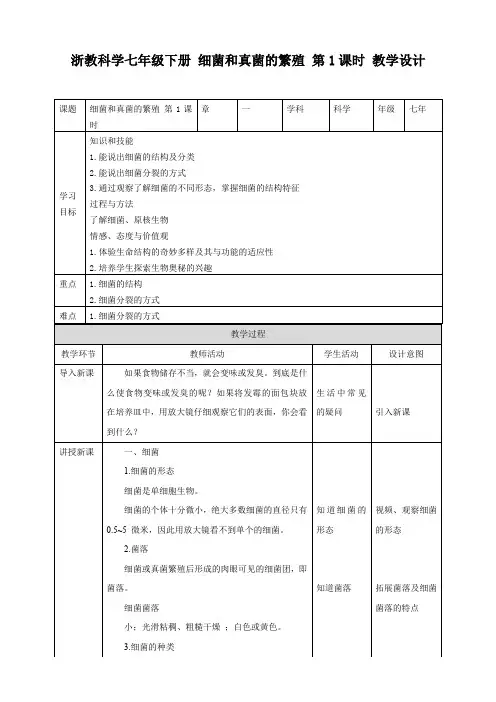 细菌和真菌的繁殖（教案）