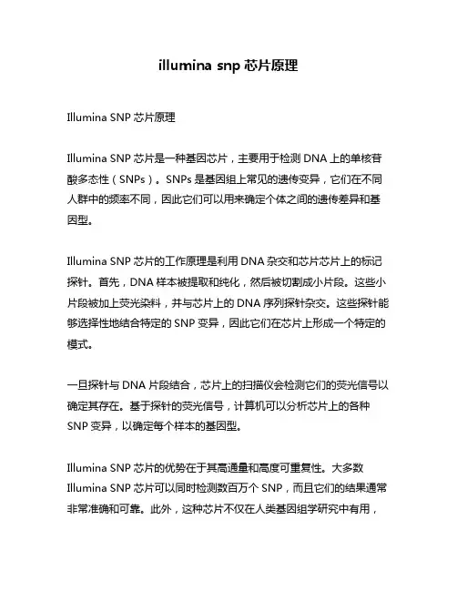 illumina snp芯片原理