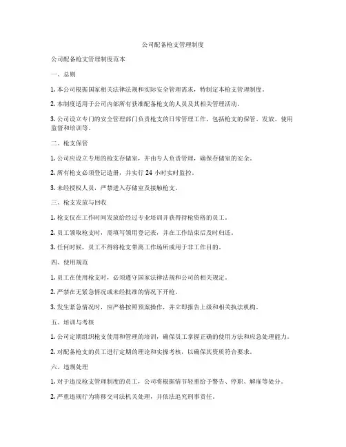 公司配备枪支管理制度