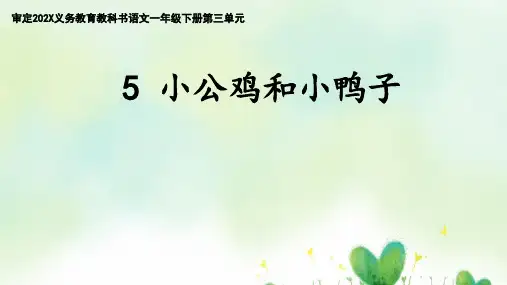 5《小公鸡和小鸭子》课件(共31张PPT)