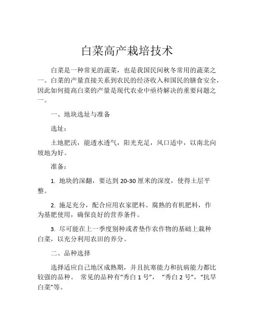 白菜高产栽培技术