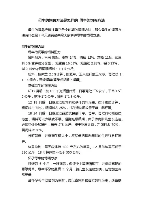 母牛的饲喂方法是怎样的_母牛的饲养方法