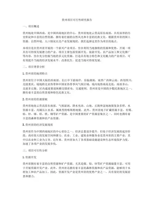 贵州项目可行性研究报告