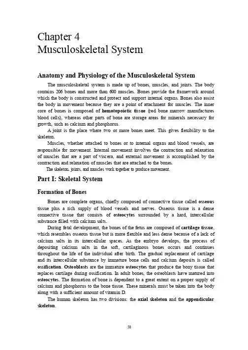 医学专业英语上册(第四章)chapter 4 musculoskeletal system