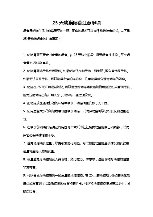25天幼猫喂食注意事项