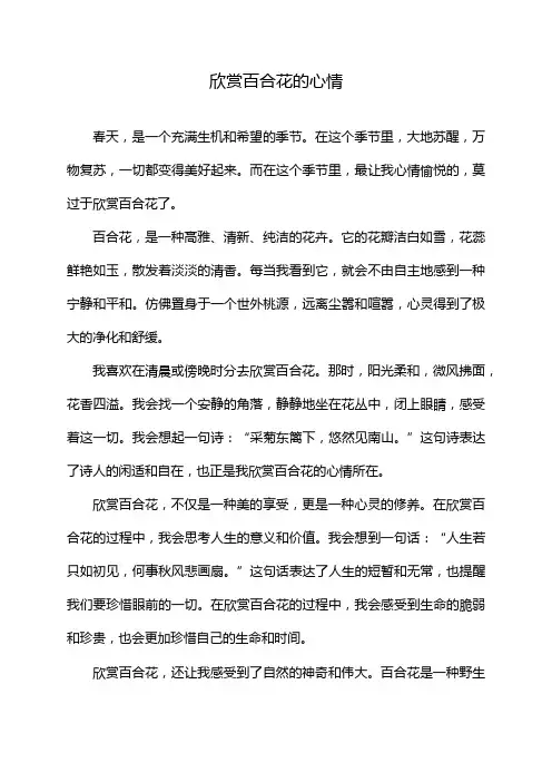 欣赏百合花的心情