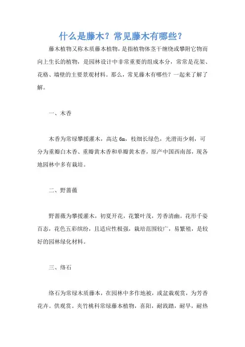 什么是藤木？常见藤木有哪些？