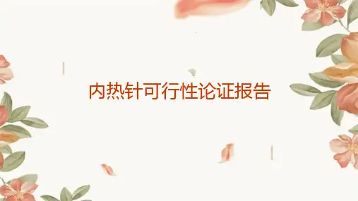 内热针可行性论证报告