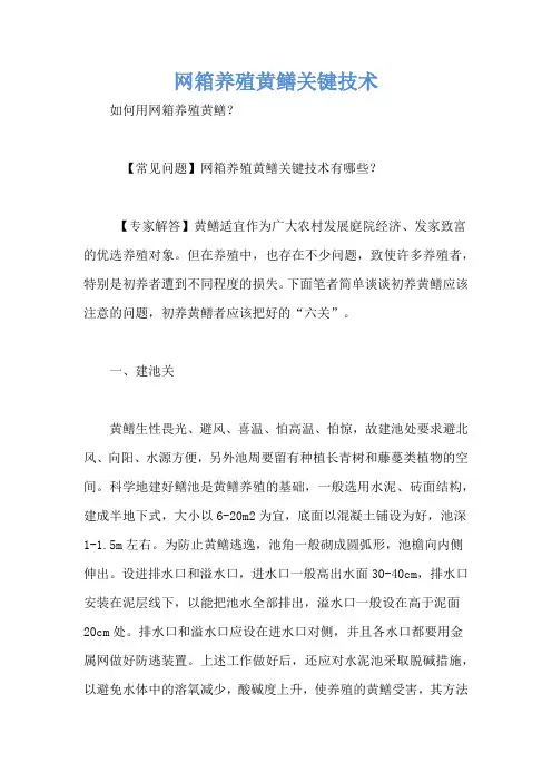 网箱养殖黄鳝关键技术