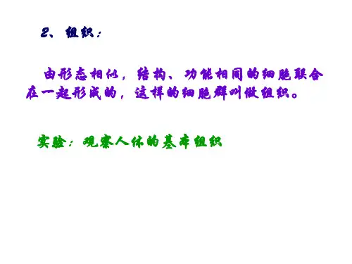 动物体的结构层次课件1