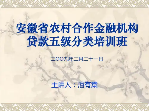 贷款风险五级分类概要