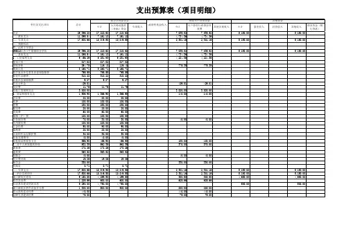 支出预算表(项目明细)