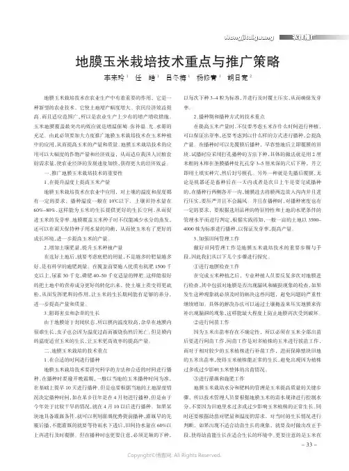 地膜玉米栽培技术重点与推广策略