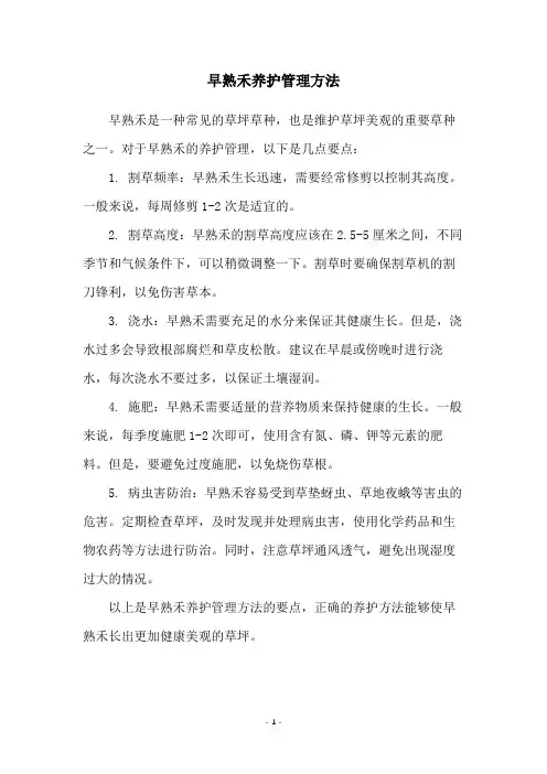 早熟禾养护管理方法