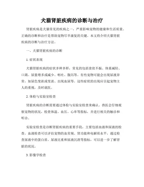 犬猫肾脏疾病的诊断与治疗