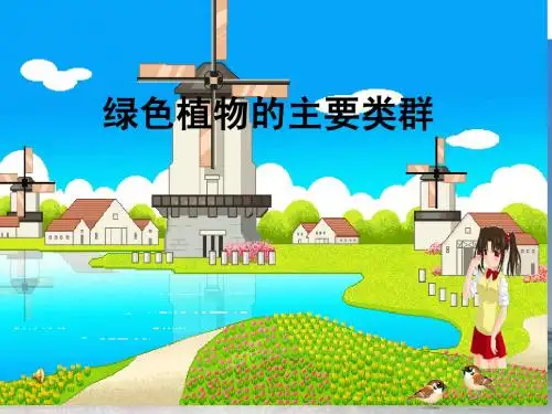 济南版七年级生物--绿色植物的主要类群
