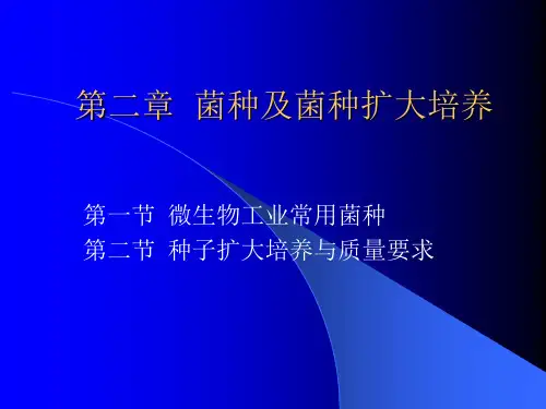 菌种和扩大培养