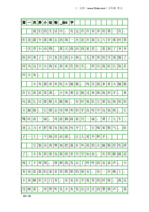 五年级作文：第一次养小动物_500字