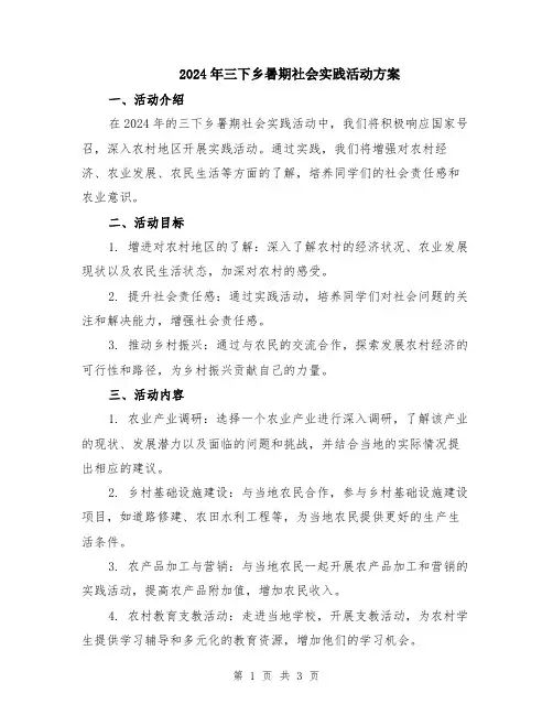2024年三下乡暑期社会实践活动方案