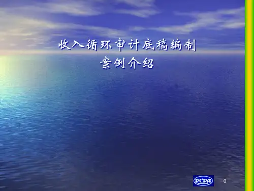 收入循环审计底稿编制案例介绍