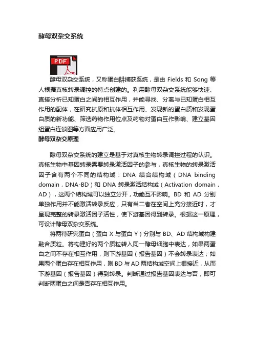 酵母双杂交系统