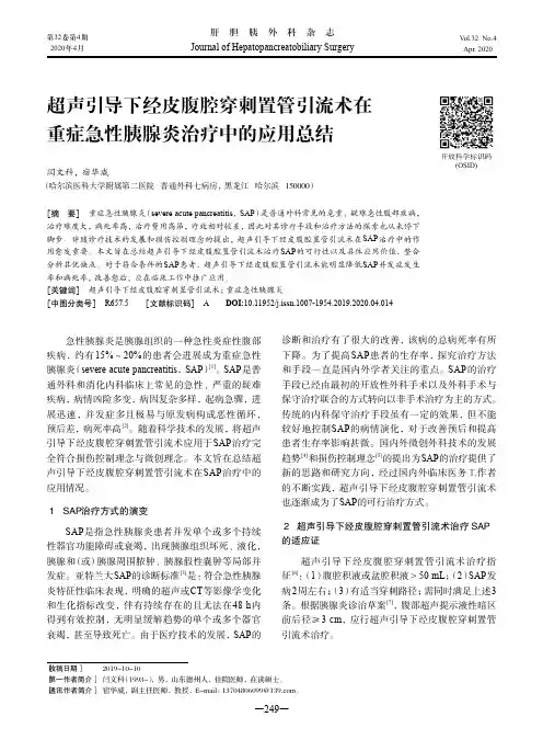 超声引导下经皮腹腔穿刺置管引流术在重症急性胰腺炎治疗中的应用总结