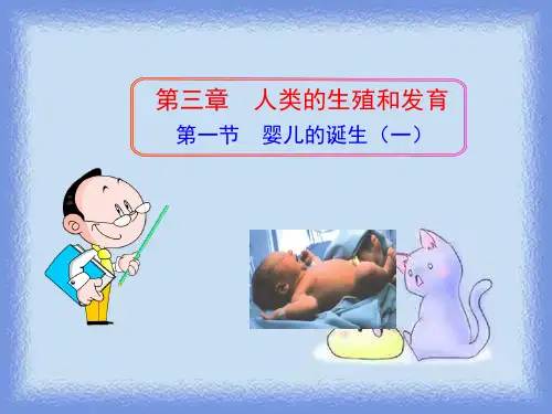 2023秋济南版八上第一节《婴儿的诞生》ppt2