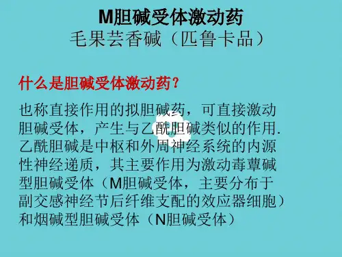 M胆碱受体激动药解析