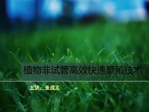 植物非试管高效快速繁殖技术