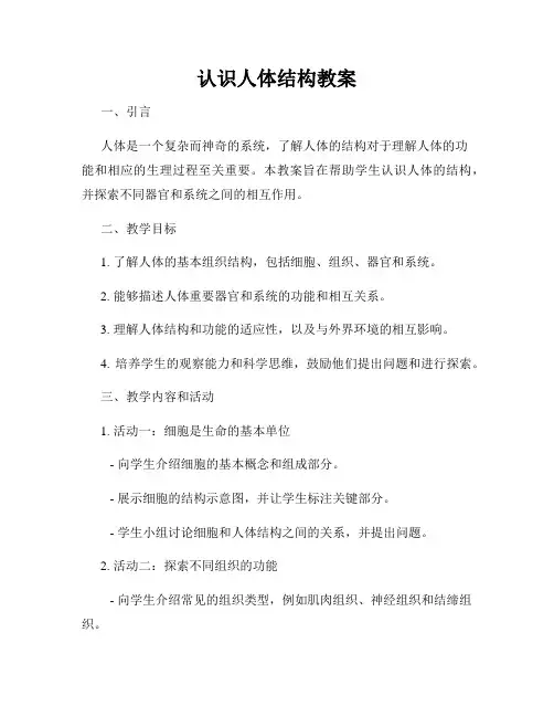 认识人体结构教案