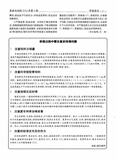 养猪过程中需注意的饲喂问题
