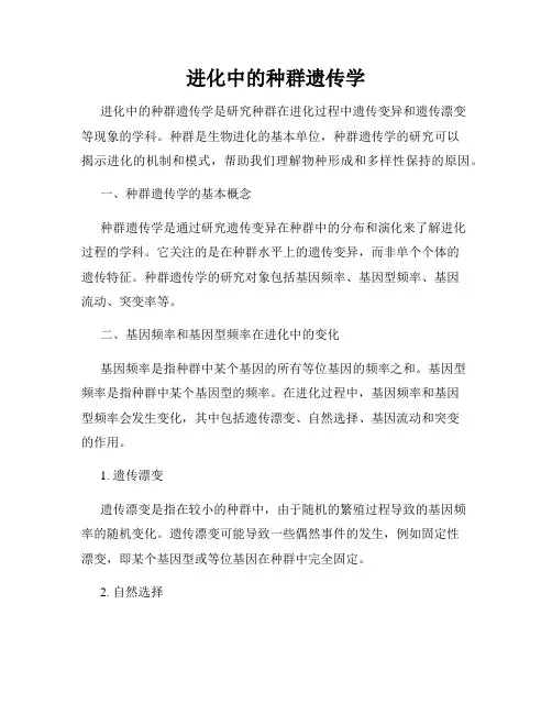 进化中的种群遗传学