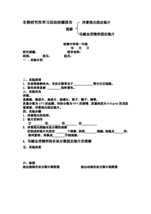 洋葱根尖有丝分裂的观察实验报告
