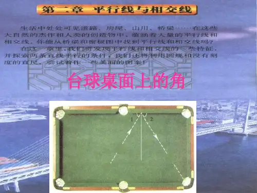 台球桌上的角PPT课件