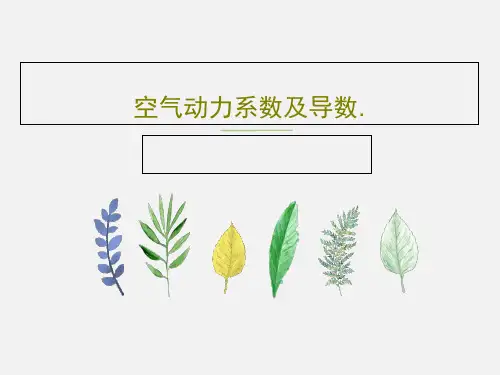 空气动力系数及导数.PPT50页