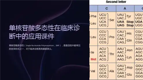 单核苷酸多态性在临床诊断中的应用课件