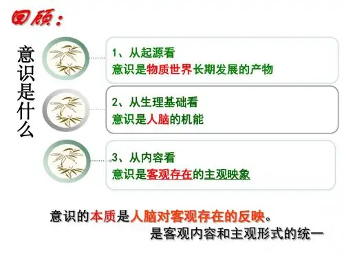 意识的作用