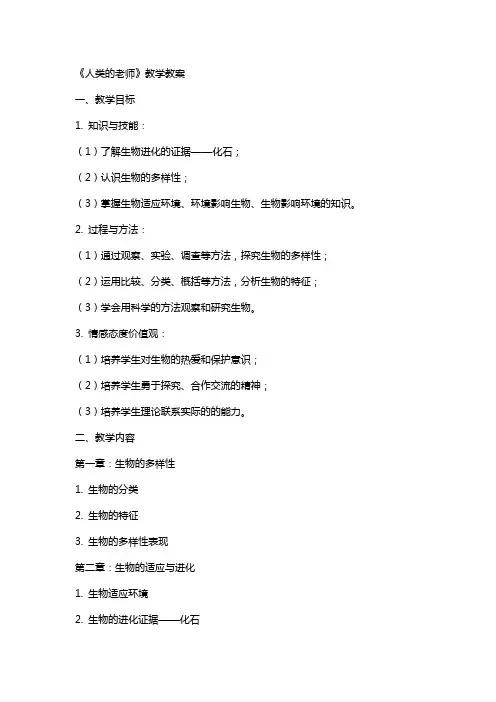 《人类的老师》教学教案