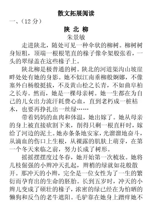 散文拓展 阅读