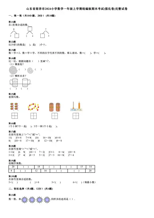 山东省荷泽市2024小学数学一年级上学期统编版期末考试(强化卷)完整试卷