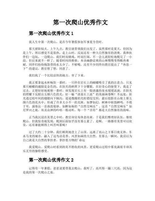 第一次爬山优秀作文