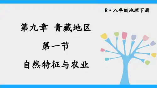 八年级地理下册《青藏地区自然特征与农业》教学课件