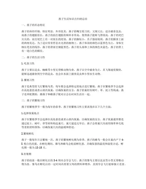 燕子生活知识点归纳总结