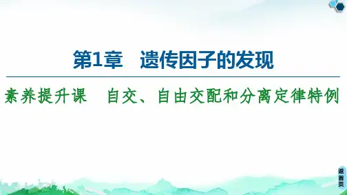 第1章+素养提升课 自交、自由交配和分离定律特例+课件+【新教材】人教版(2019)高中生物必修二