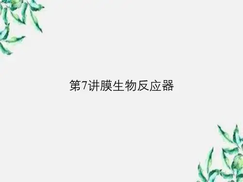 第7讲膜生物反应器