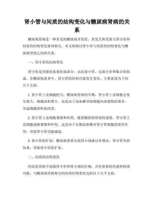 肾小管与间质的结构变化与糖尿病肾病的关系