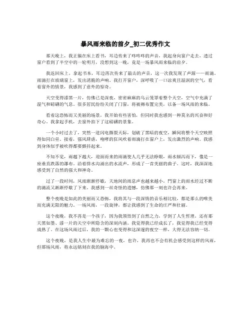 暴风雨来临的前夕_初二优秀作文