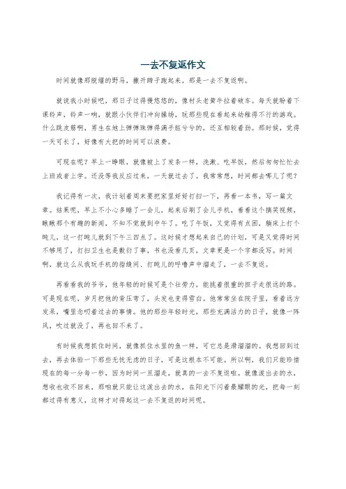 一去不复返作文